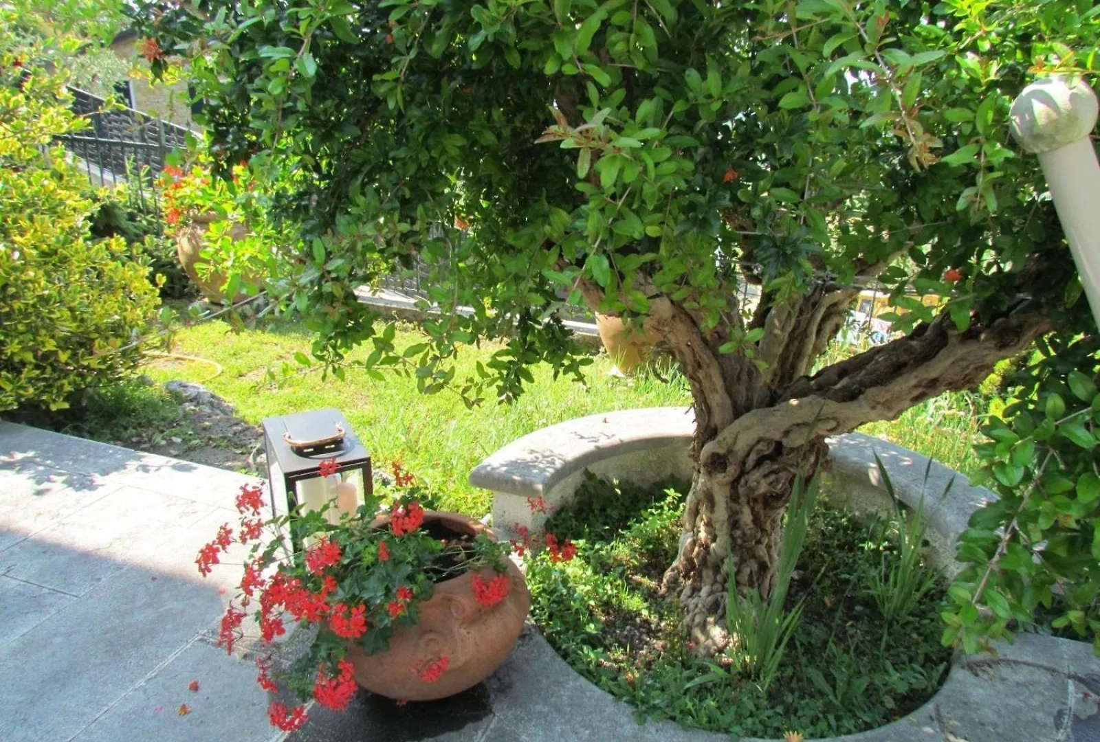 Apartment Welcome Traveller Alema House Cavaion Veronese